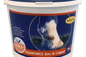 HAVENS: paardenvoer van wereldklasse