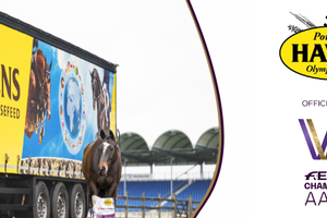 HAVENS: paardenvoer van wereldklasse