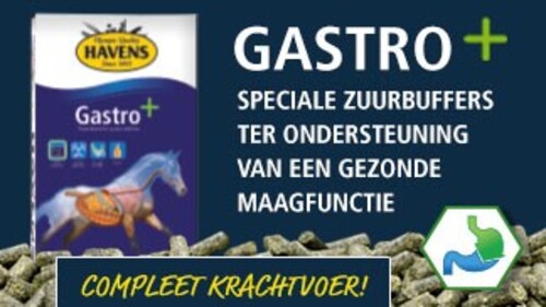 Bewezen in de praktijk: Gastro+