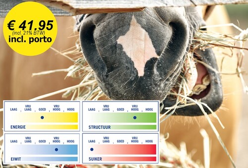 Ruwvoeranalyse